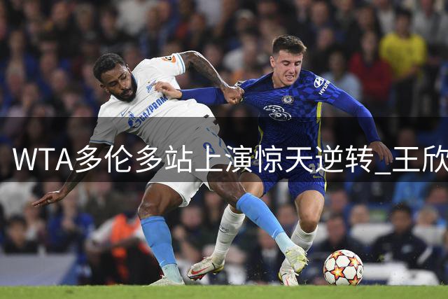 WTA多伦多站上演惊天逆转 王欣瑜痛失好局遗憾出局